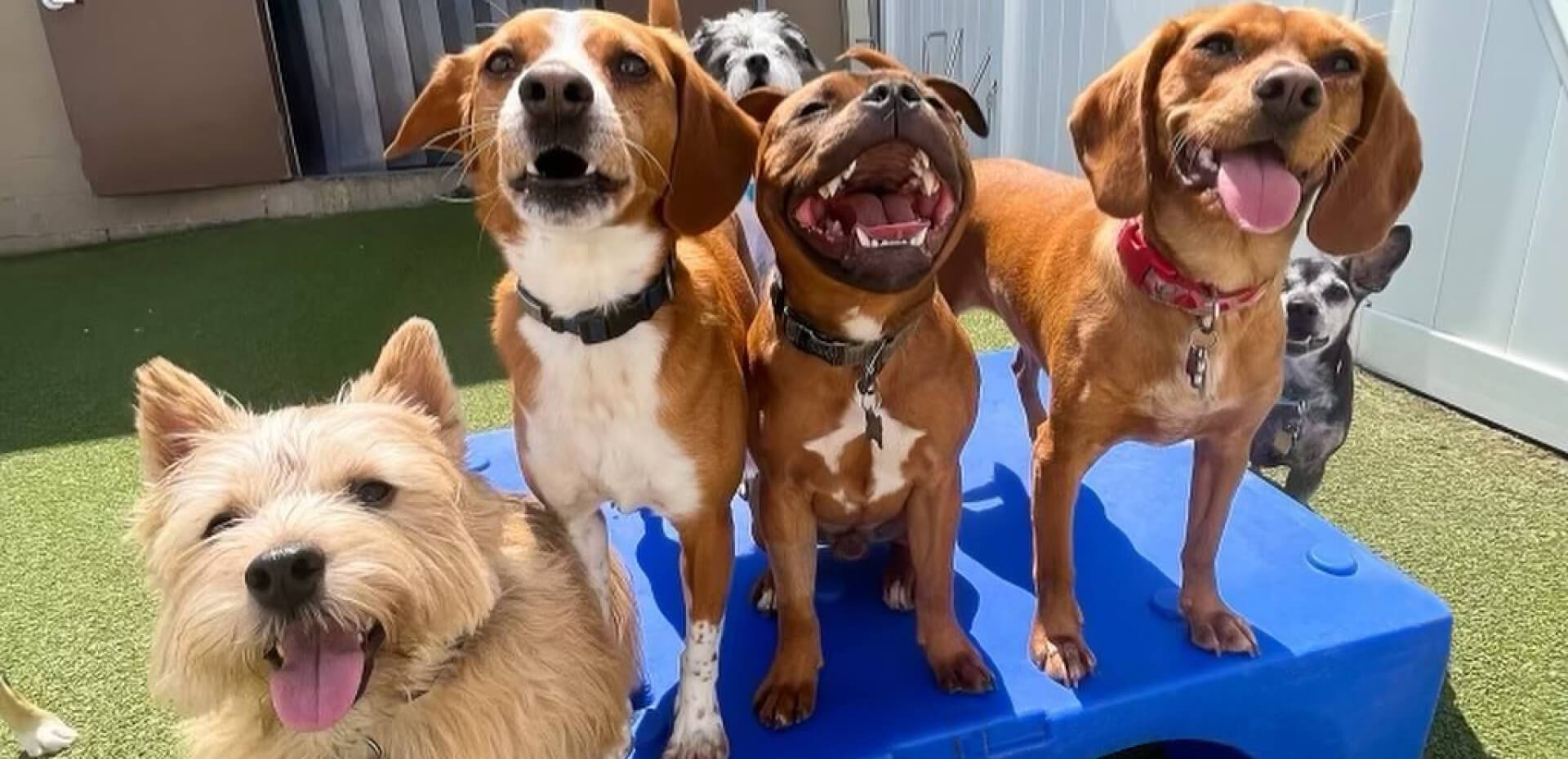 Daycare